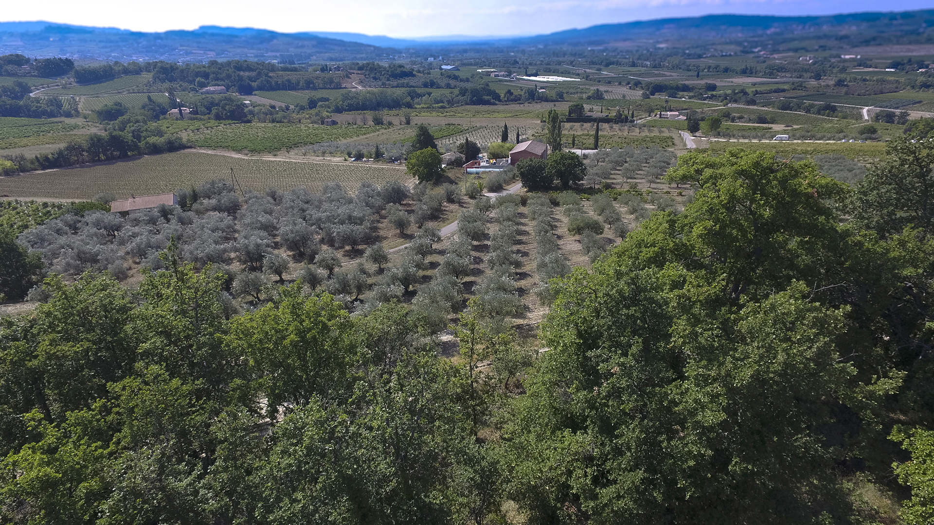 Vue sur la vallée