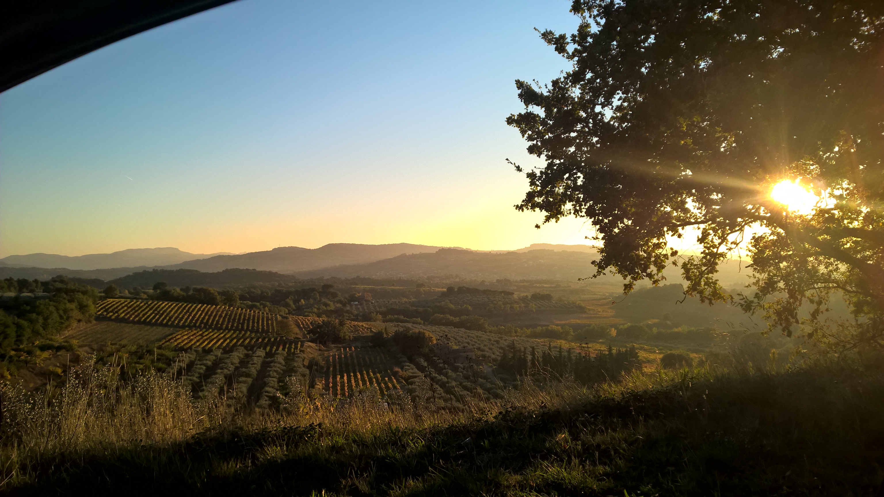 Paysage de campagne